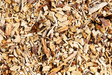Large sawdust, background , wood texture