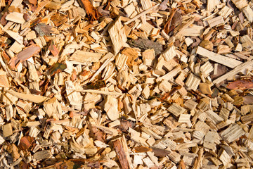 Large sawdust, background , wood texture