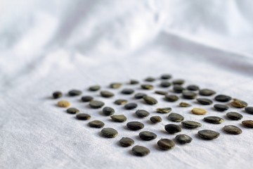 Black pumpkin seeds arranged on table white cloth pattern texture background