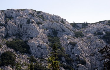 Fototapeta na wymiar Rocky mountain Velebit in Croatia canyon rocks trees green