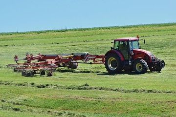 Fototapeta premium Tractor, agricultural seasonal work, hay making