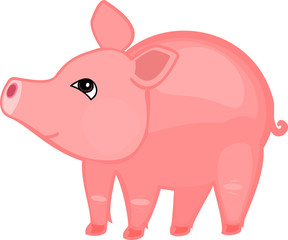 Cute cartoon pink pig on white background
