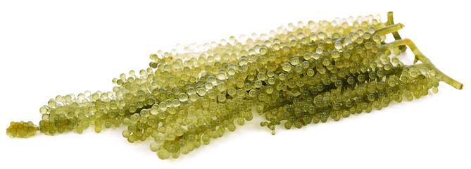 Algae grape bunch healthy food