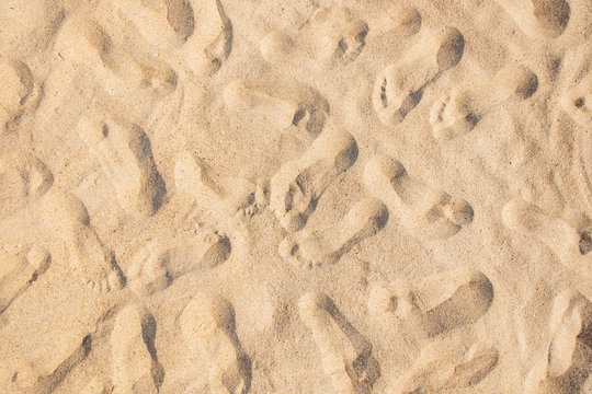 Many footprints on sand.