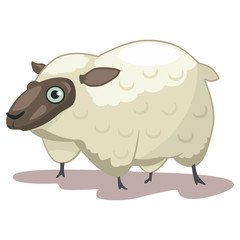 Sheep animal cartoon vector illustration isolated on white background.