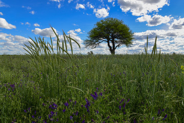 Colorful landscape, Pampas, Argentina