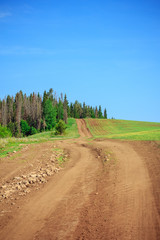 Hill road with sown field