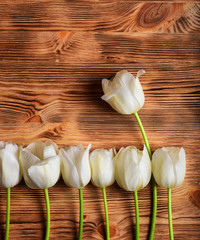 abstract background spring tulips wooden design