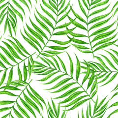 Fototapeta na wymiar Palm leaves pattern painted with watercolor. Element for design.