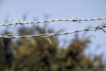 barbed wire close up