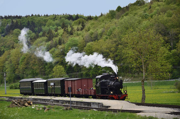 Museumsbahn im Bahnhof Sägmühle