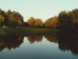 Fototapeta na wymiar Reflection of trees in the lake