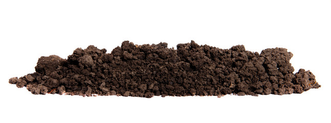 earth on isolated white background.