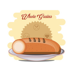 whole grains healthy product vector illustration design