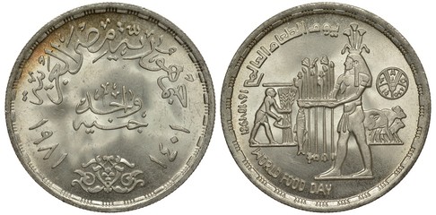 Egypt, Egyptian coin one pound 1981, inscription in Arabic script FAO (Food and Agricultural Organization), World Food Day, peasant cutting wheat with sickle, male holding plants and fish, cattle