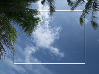 palm trees against blue sky with blank white frame for copy space. palm trees at tropical coast, coconut tree for summer background