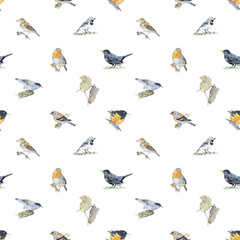hand drawn painted seamless pattern of watercolor sketch of isolated birds on white background