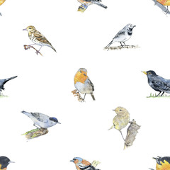 hand drawn painted seamless pattern of watercolor sketch of isolated birds on white background