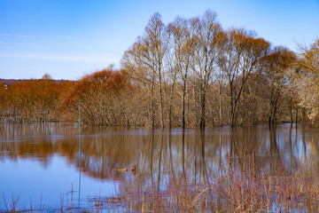 Beautiful spring landscape with a spilled river