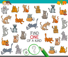 find one of a kind with cats animal characters