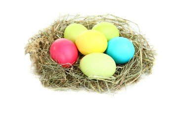 Fototapeta na wymiar Multicolored easter eggs