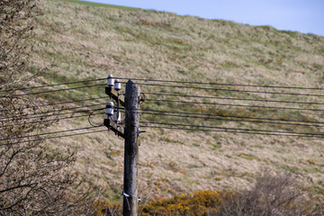 Telegraph Pole