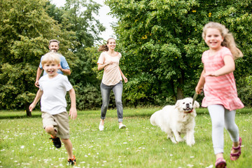 Obraz premium Children have fun walking dog