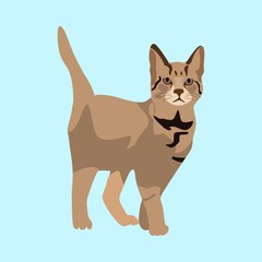 icons about Animal with shape, home cat, zoo, art and logo