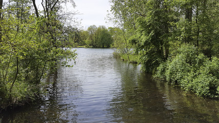 Small lake in Dutch park, Alblasserdam, South Holland, Netherlands