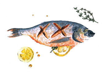 Waterclolor fish Sea Bream cooked with lemon and rosemary  on blue and white background - 203248175