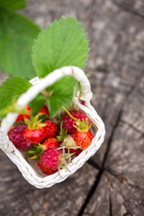 forest berries in a basket