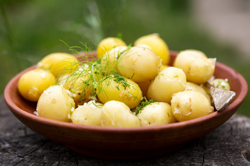 byoung potatoes with dill and garlic