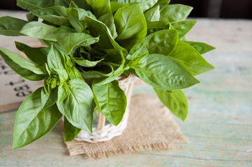 Bouquet of fresh green Basil