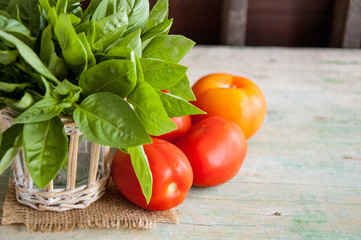 Fresh green bunch Basil with tomatoes on wooden background