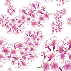 Hand drawn cherry blossom seamless pattern design. EPS10 vector illustration.