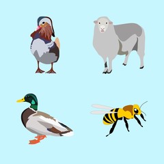 icons about Animal with outdoor, zoo, desing, flight and vintage