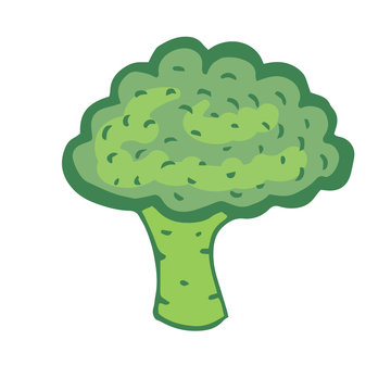 Broccoli vector icon. Vegetable sticker. Ingredients for recipe book.