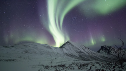 Fototapeta na wymiar Northern Lights at Tromso
