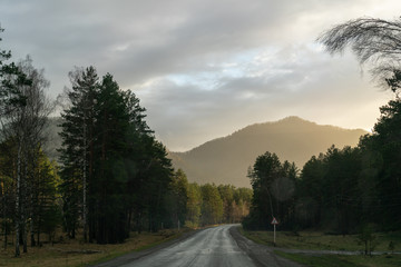 road through the forest towards the mountains and sunset. soft flares in the foreground