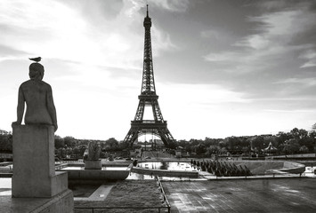 Eiffel tower. paris. france. Bird on the statue. Black and white.