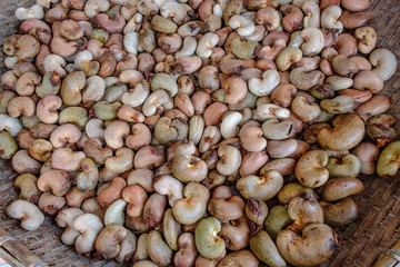 Cashew nuts with shell waiting to be processed.
