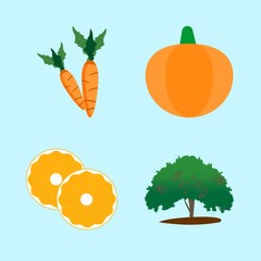 icons about Food with pumpkin, lime, fresh, halloween and root