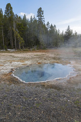 Yellowstone colorful geyser pool