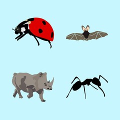 icons about Animal with beetle, small, amusing, wildlife and drawing
