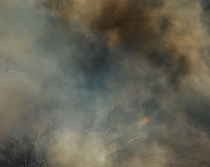 Dry grass burning in the street.