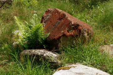 Valle Versasca, Detail