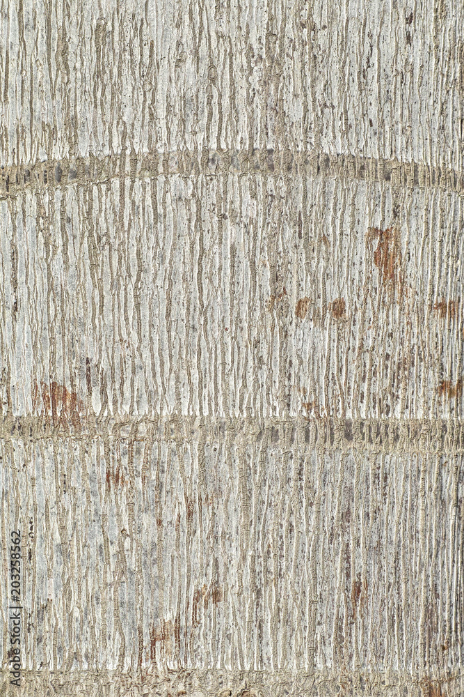 Poster close up of tree bark texture high resolution