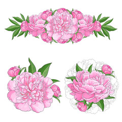 Tender pink peonies set with blossom flowers bouquets isolated on white background - hand drawn elegant floral elements for romantic wedding greeting card or invitation. Vector illustration.