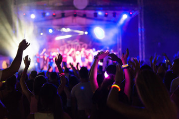 Picture of party people on music festival