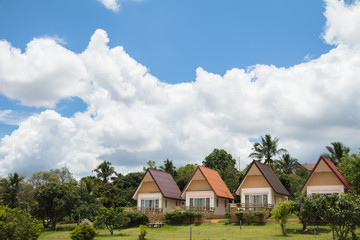 House view skyspace landscape tree green backgroud